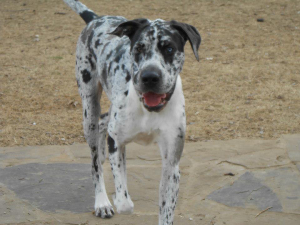 23410_10151381796864059_1073950049_n