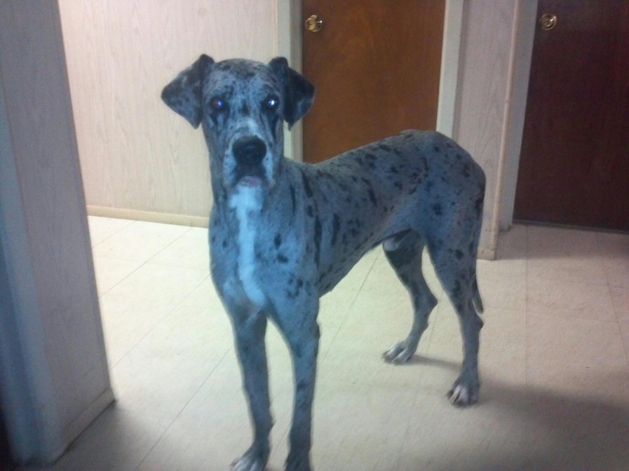 256135_397623790321724_525622778_o