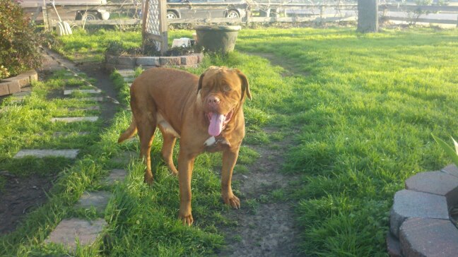 295673_10200392584153906_1920703552_n