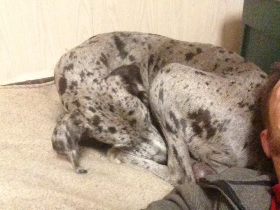 339218_399791163438320_26186584_o