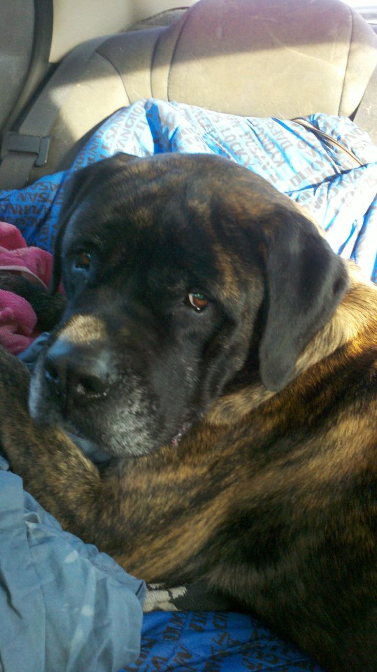 483785_10200341338392794_2058405110_n