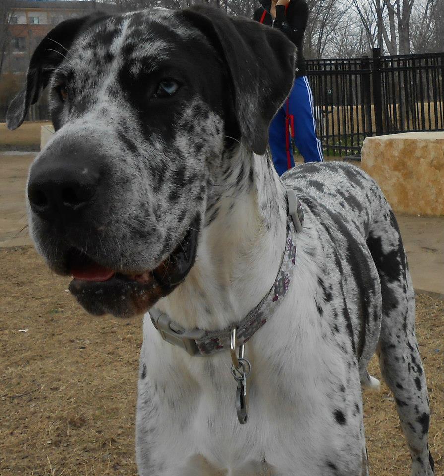 542401_10151381797329059_1854480209_n