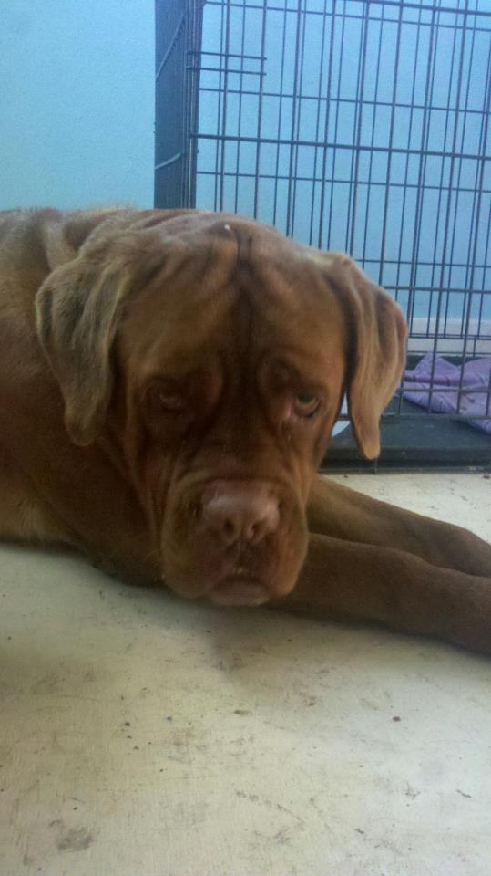 577827_10200392587553991_47576173_n