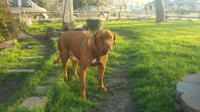 578441_10200392584553916_1700079851_n