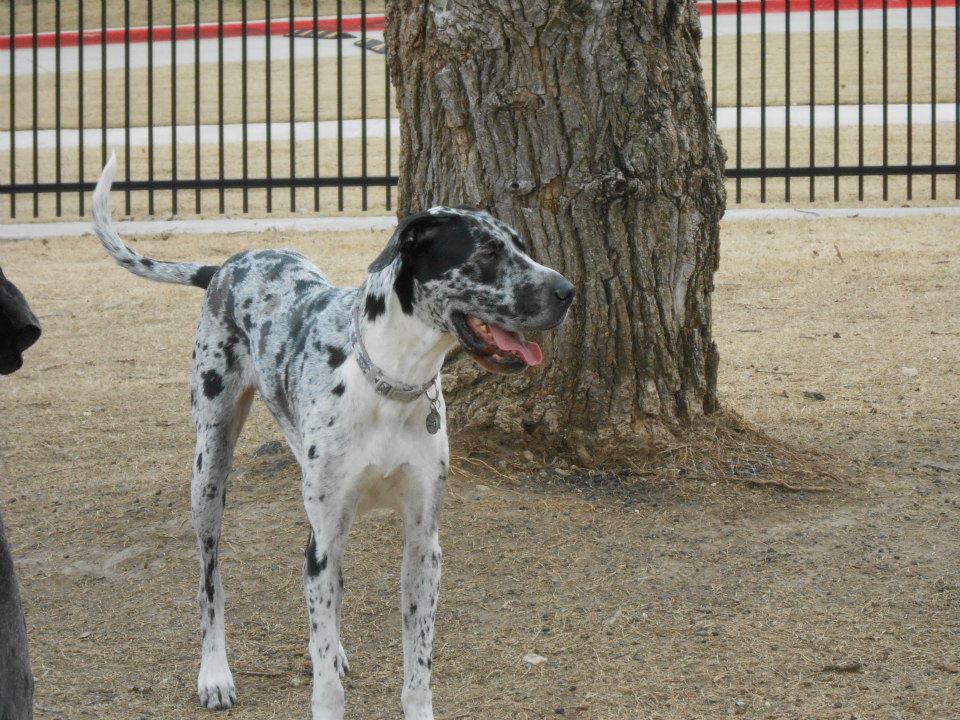 602665_10151381796909059_1489600281_n