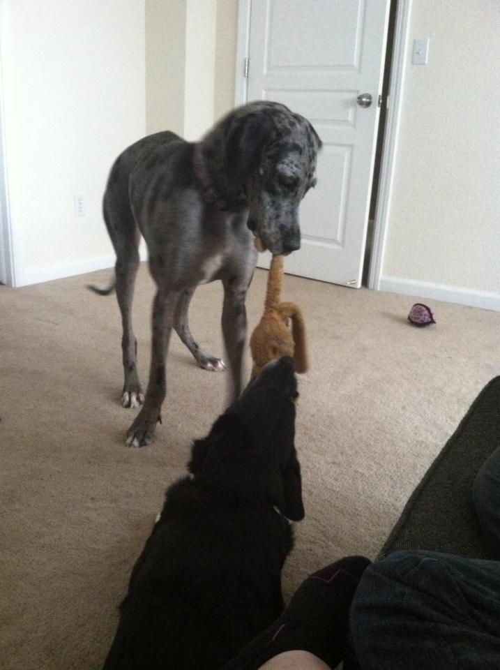 64160_10152673403845441_1753133497_n