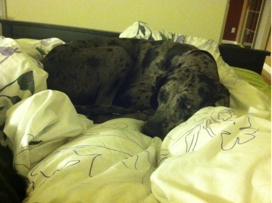 66187_10152604826365441_1222181912_n