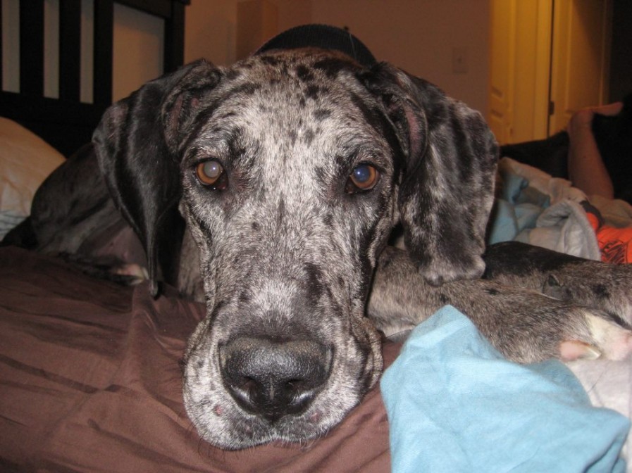 67349_10152681305930441_1701837881_n