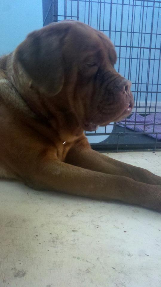 72435_10200392588314010_392853065_n