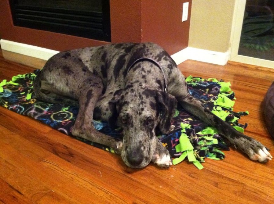 734501_10152632073060441_1545980064_n