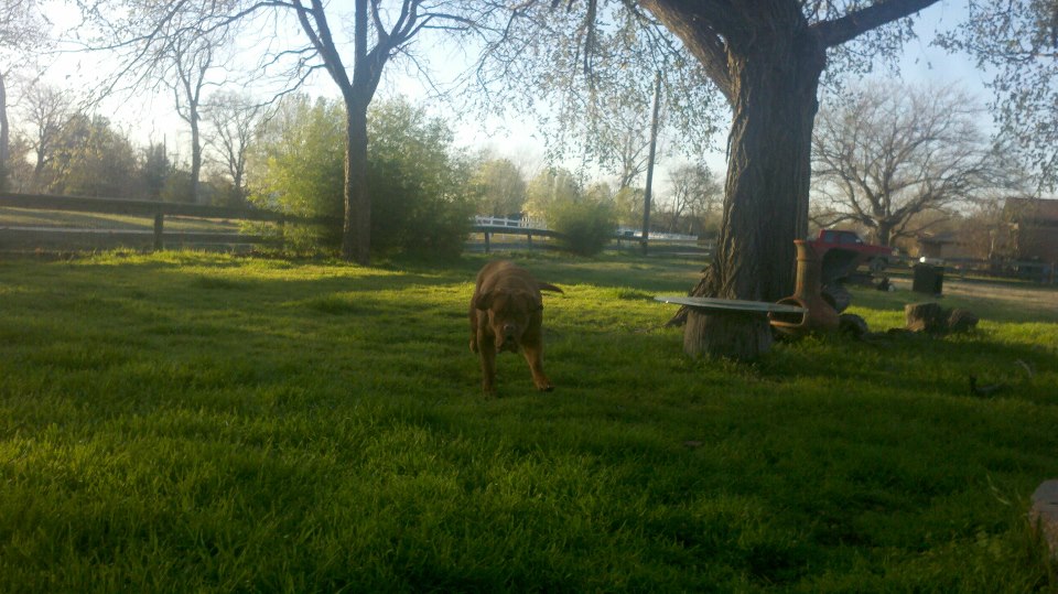 74434_10200392586393962_1986346867_n