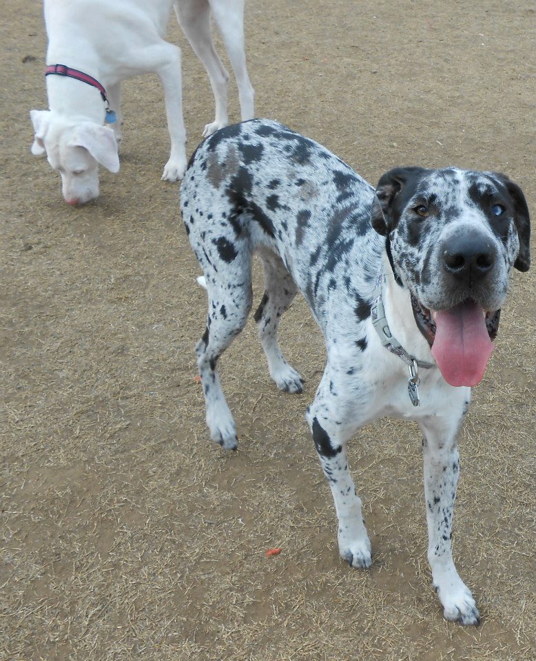 75031_10151381797439059_151102205_n