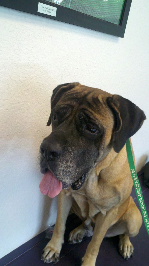 Resampled_2012-10-24_13-43-33_268