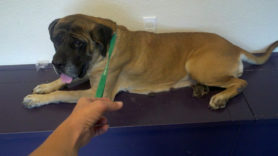 Resampled_2012-10-24_13-52-04_43