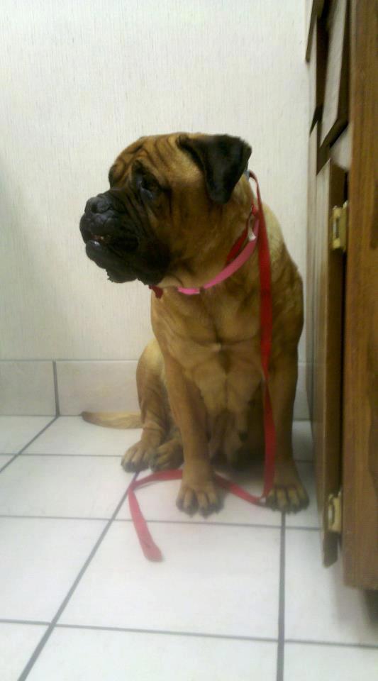 181148_430872893603578_246736582_n