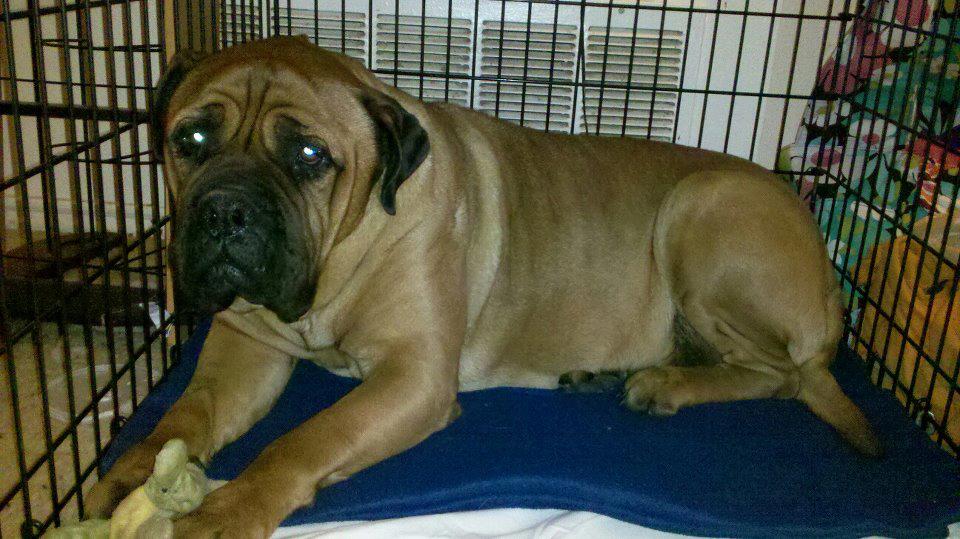 556188_430872883603579_1415147902_n