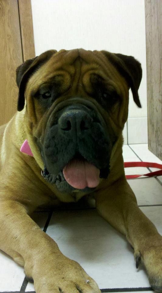 598780_430872910270243_369824787_n