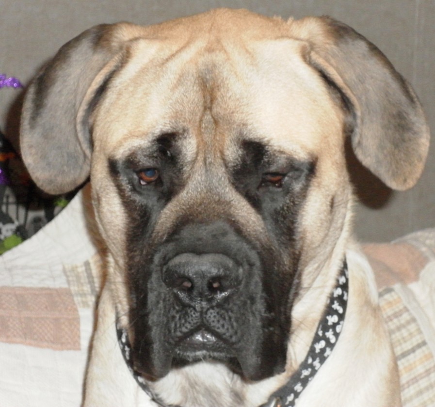 SAMSUNG DIGITAL CAMERA