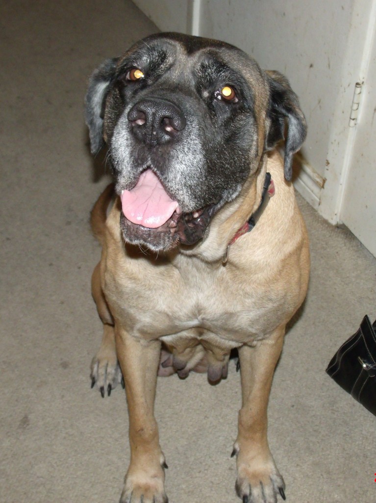 GEDSC DIGITAL CAMERA