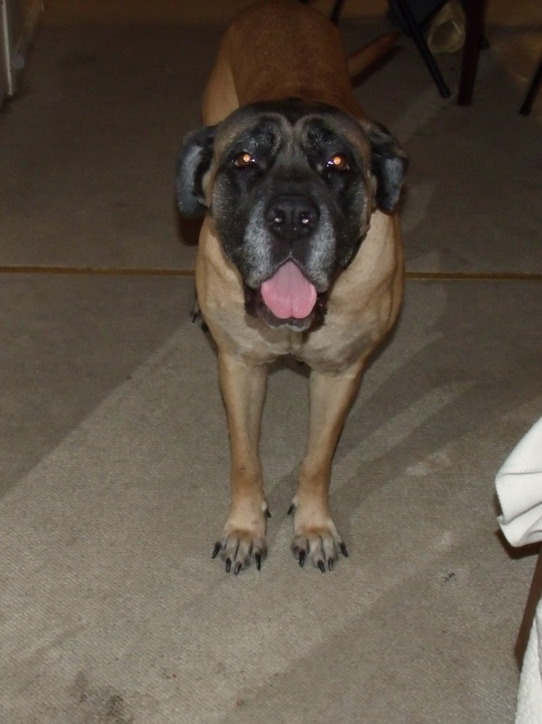 GEDSC DIGITAL CAMERA