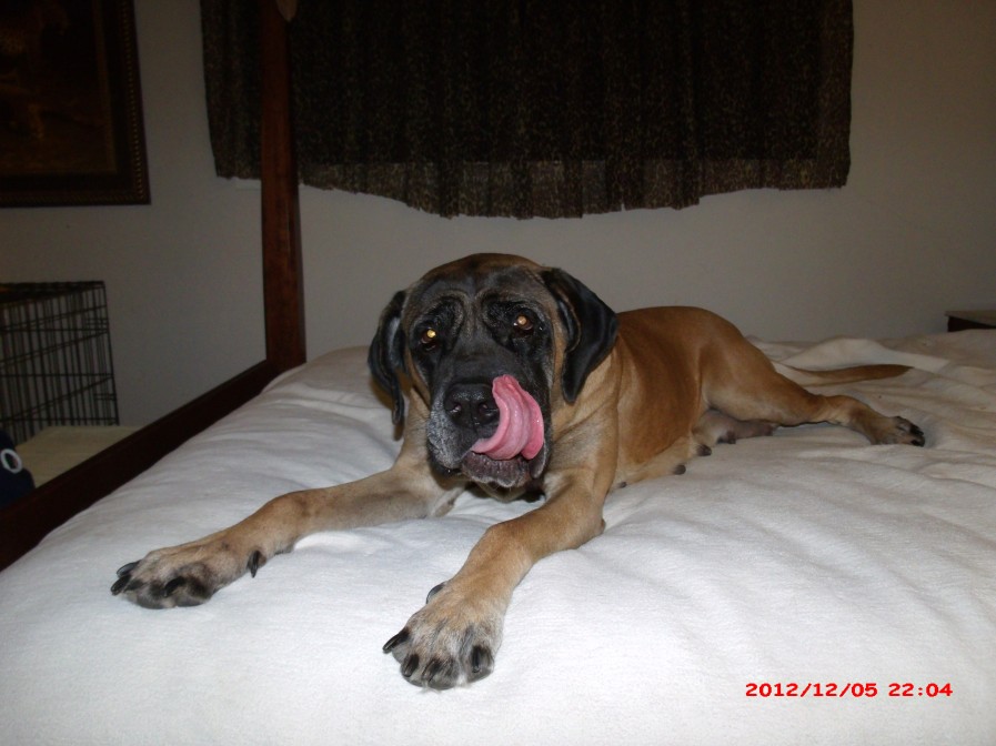 GEDSC DIGITAL CAMERA