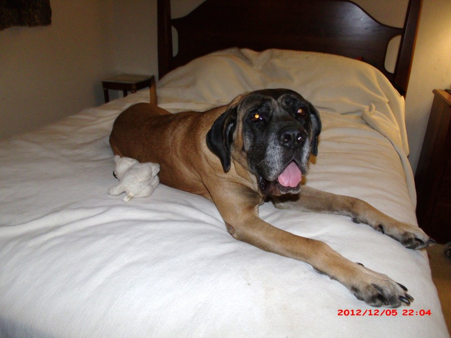 GEDSC DIGITAL CAMERA