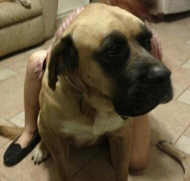 IMG952012111395191232-1