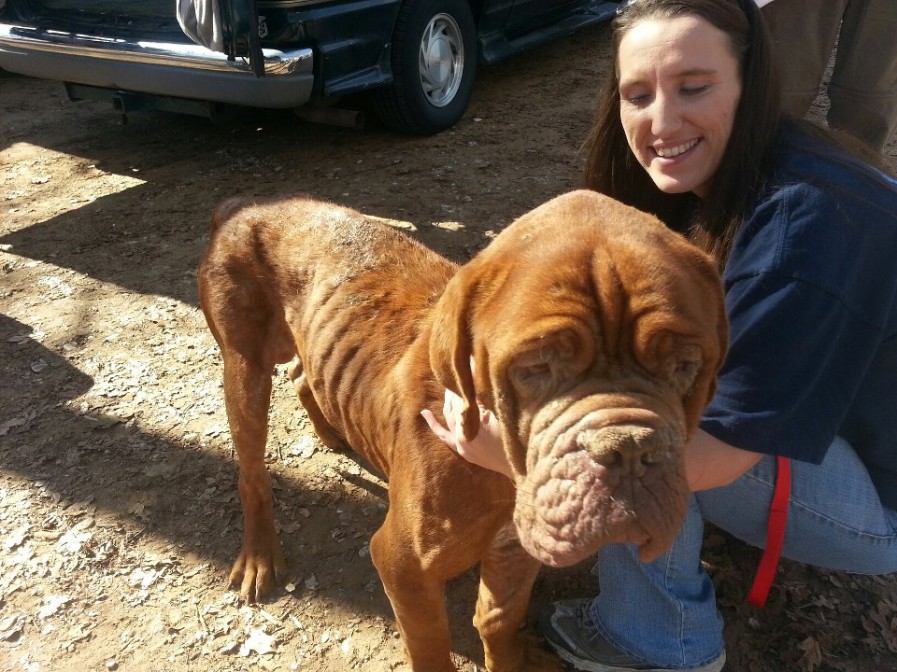 484678_10200374787440378_1361248720_n